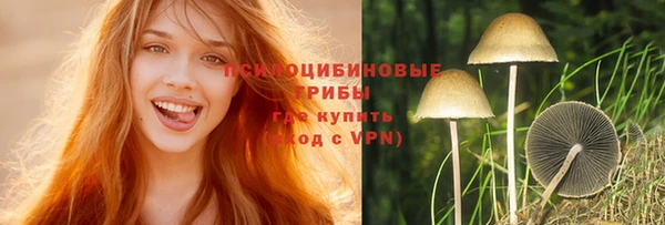 крисы Медногорск