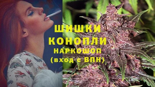 прущая мука Магас