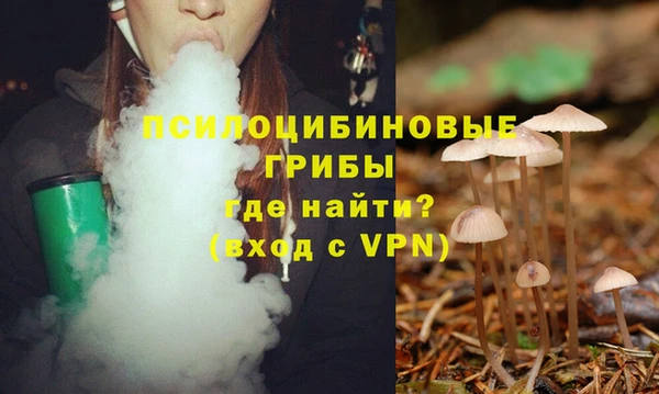 амфетамин Медвежьегорск