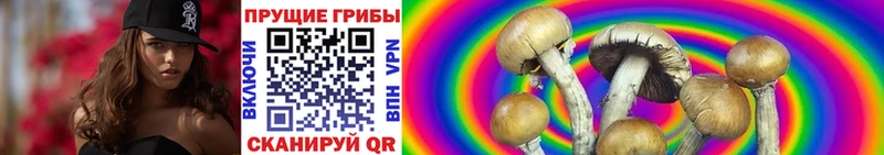 Галлюциногенные грибы Magic Shrooms  хочу наркоту  Эртиль 